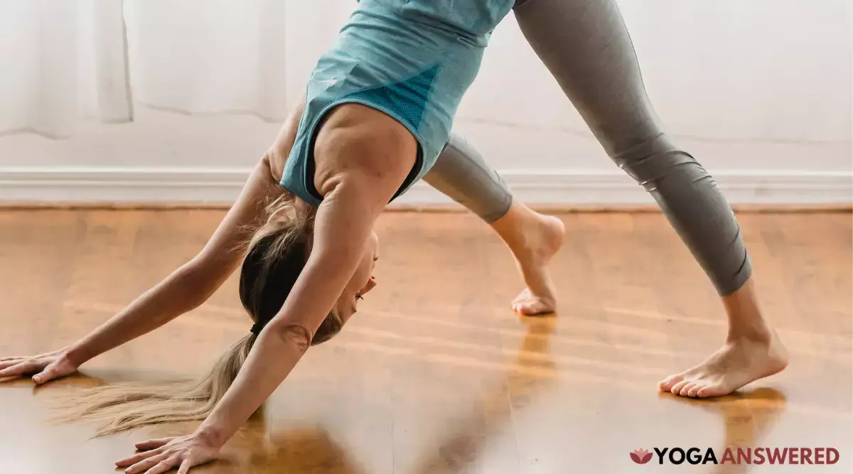 what is mysore yoga